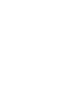 Kommunevåpen Risør kommune